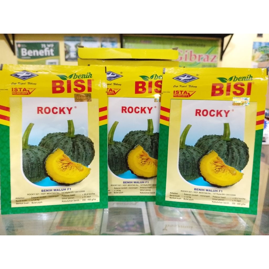 Benih Waluh F1 ROCKY