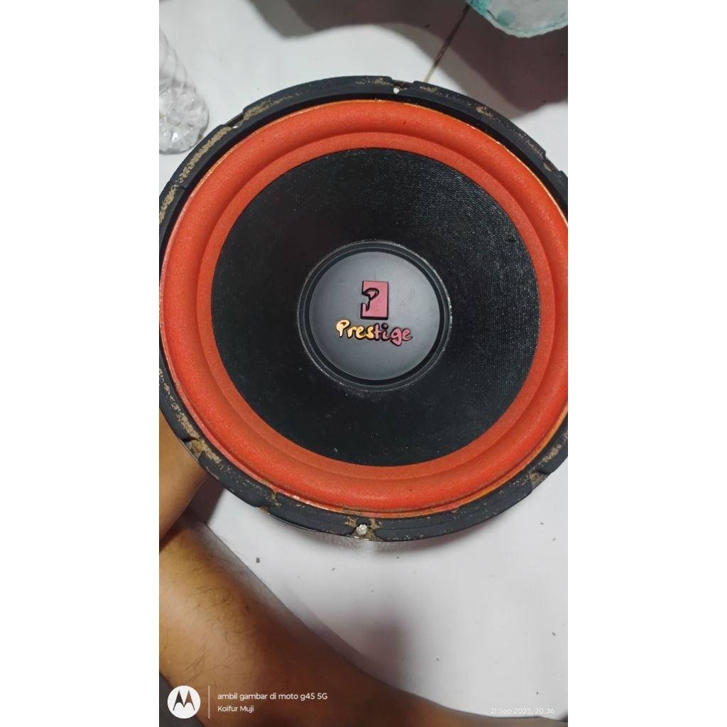 Speaker SUBWOOFER 10 inch PRESTIGE PG-1054-2 DOUBLE COIL 250 WATT BEKAS