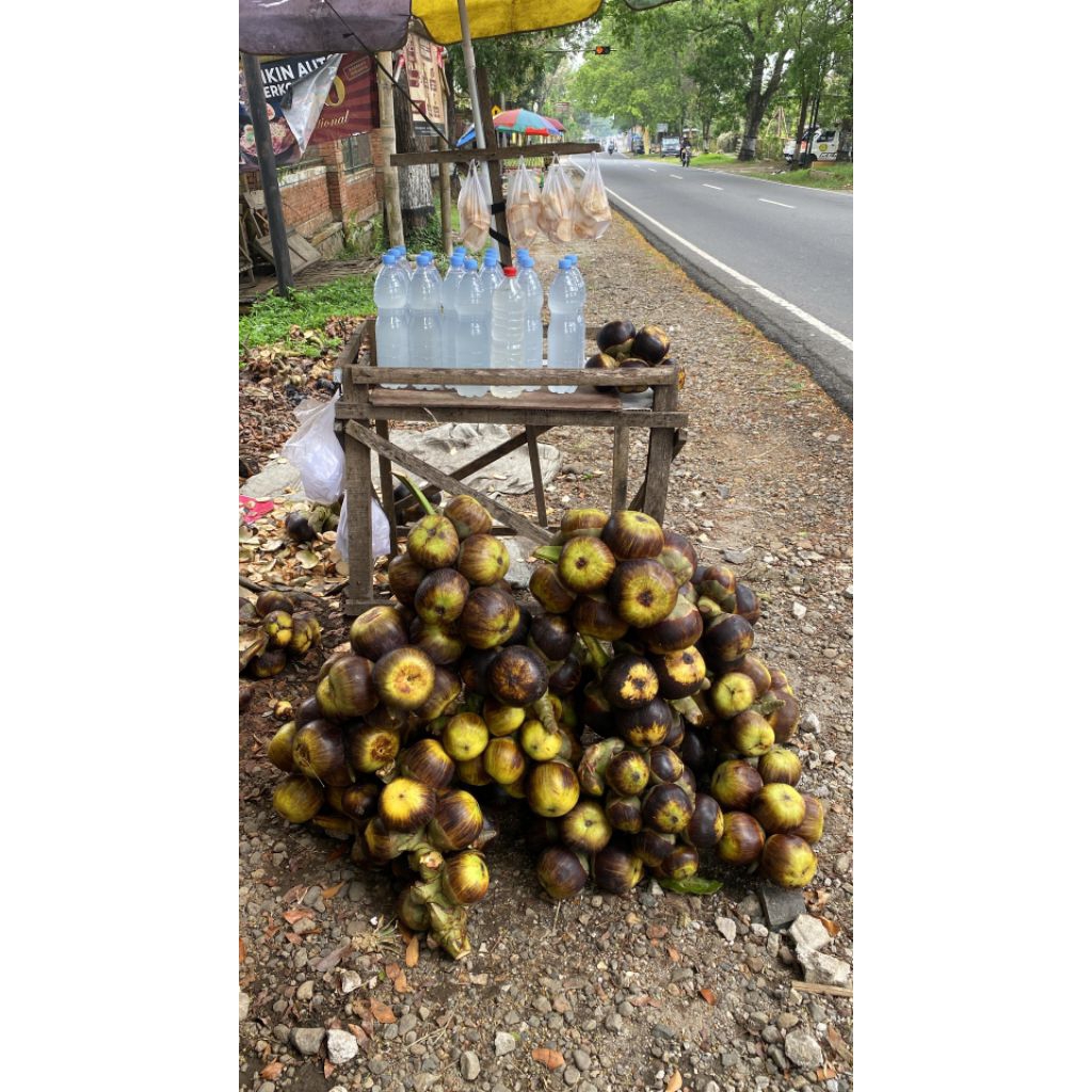 air deresan bunga siwalan(legen) isi 1.5liter