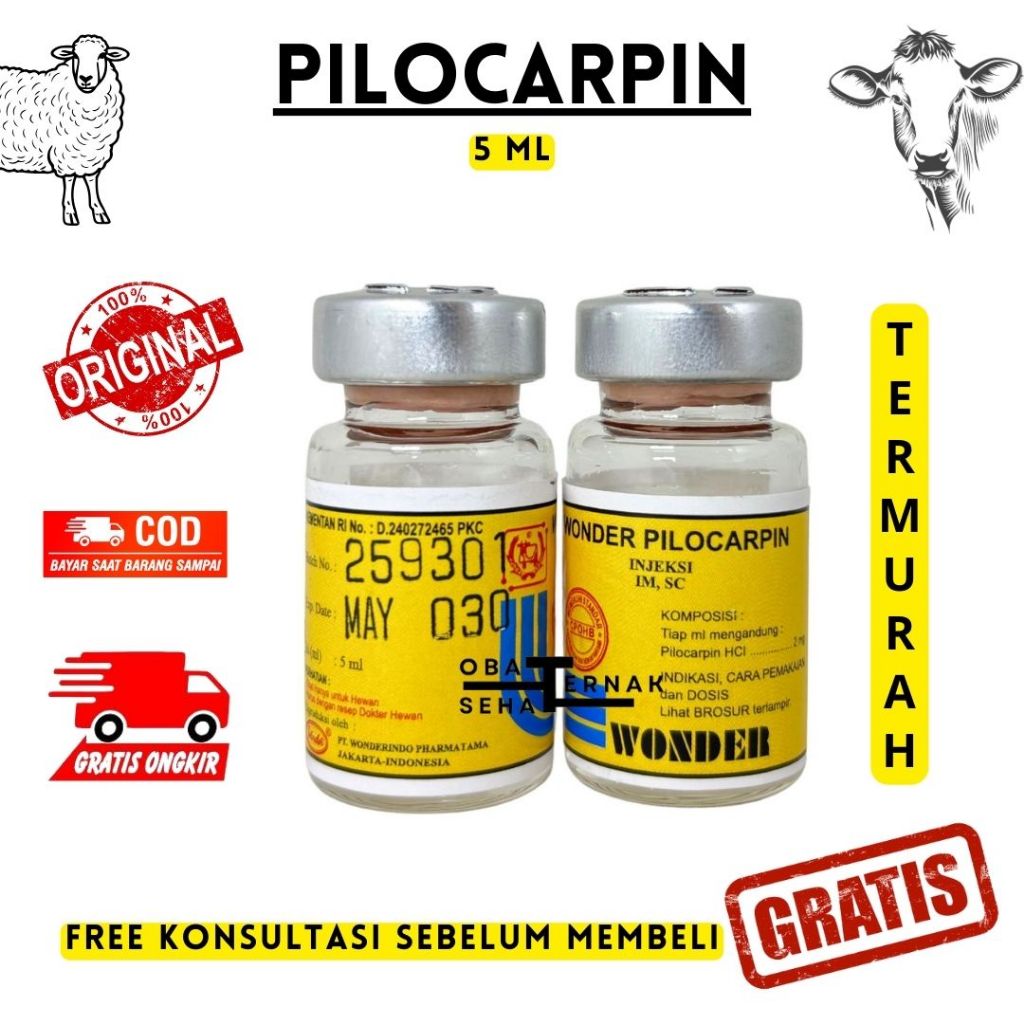 PILOCARPIN 5 ML WONDER - Obat Kembung & Kolik Sapi Kuda Kambing Domba Anjing Kucing