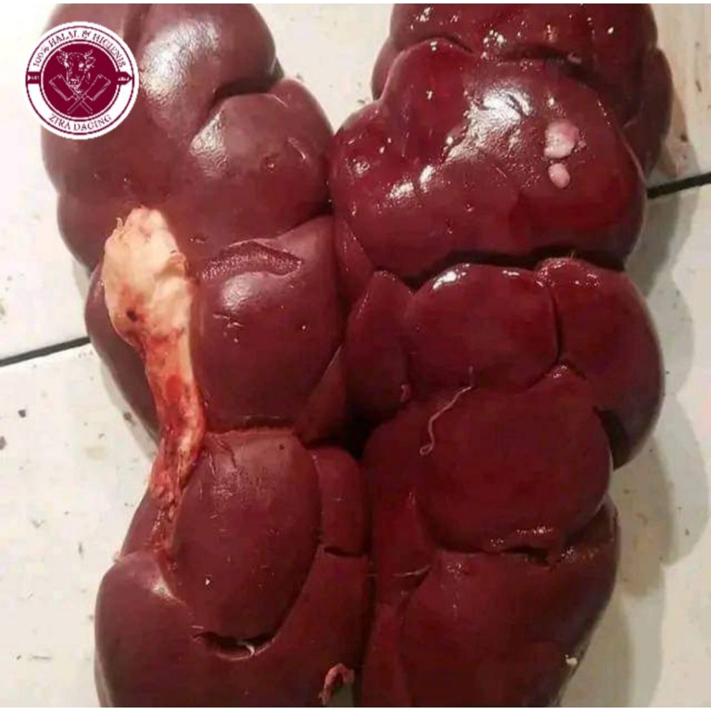 Ginjal Sapi || 1 Kg