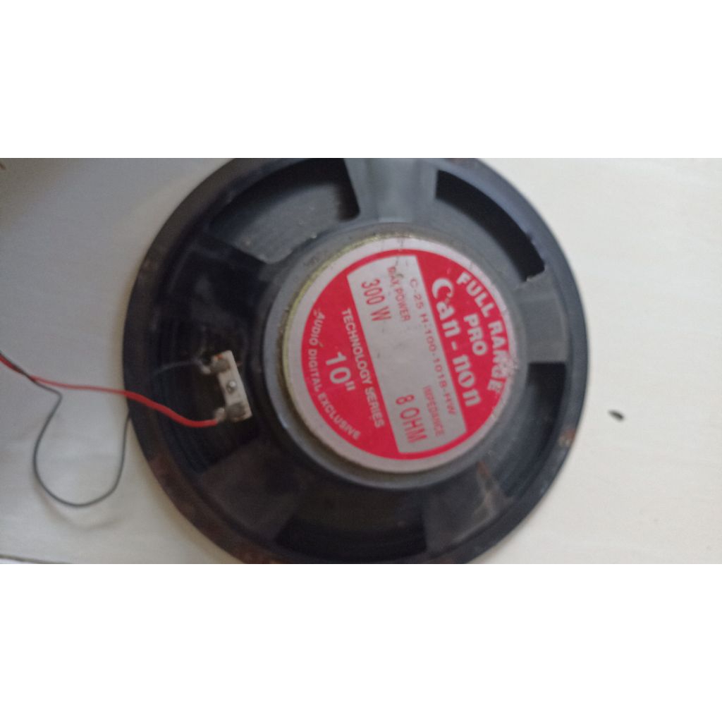 speaker cannon 10 inch full range