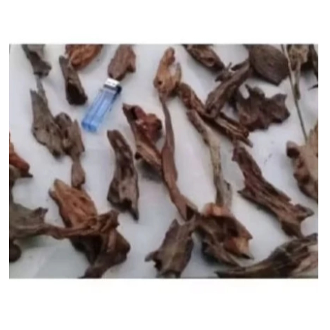 kayu rentek aquascape kecil untuk rangkaian