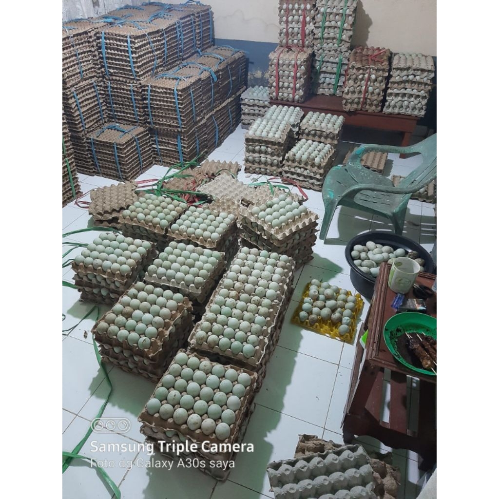 

paket hemat telur bebek tawar 150btr