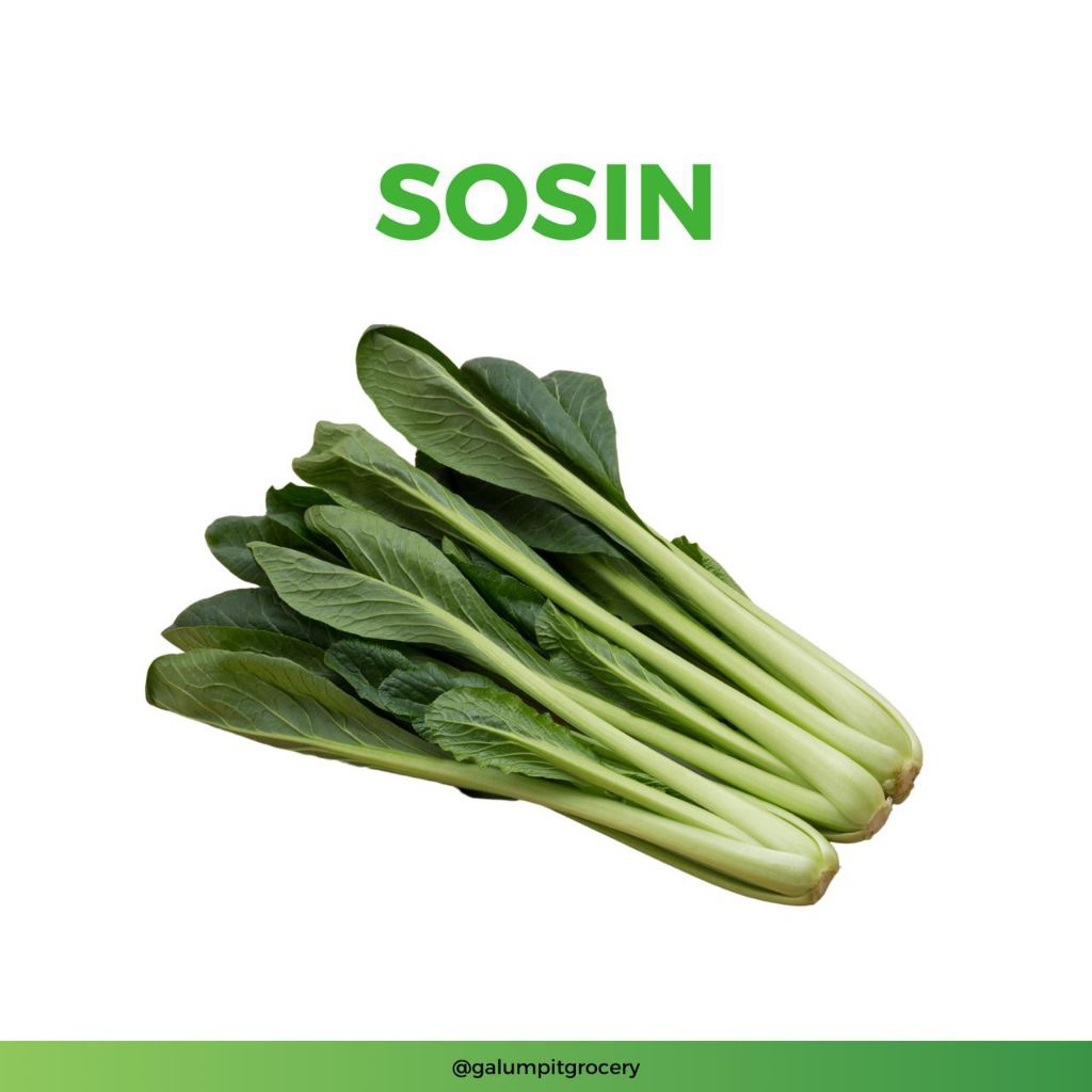 

Sosin / Sawi Hijau Segar 230-250gr | Kirim Instant Bandung Timur