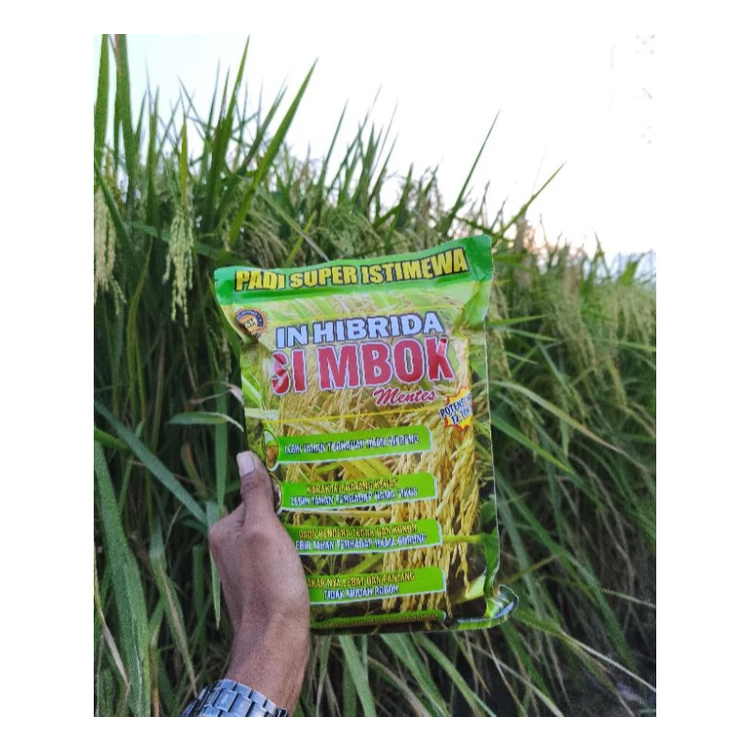 Benih padi unggul simbok mentes 1kg varietas padi unggul