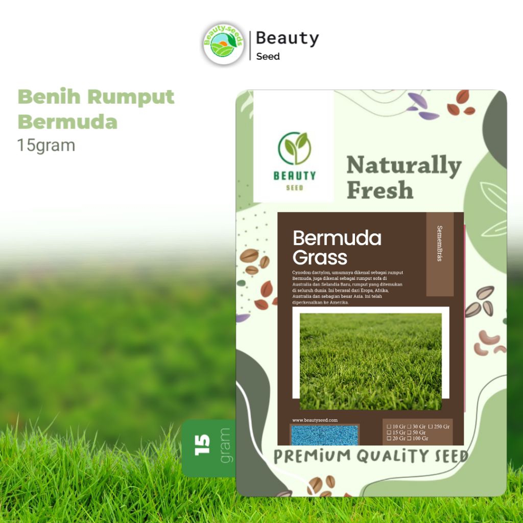 Bibit Benih Biji Bermuda 15gr - Bermuda Grass Seed