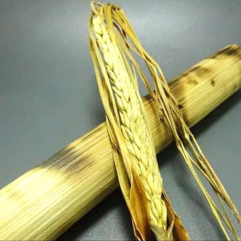 bunga sereh kembang sereh tunggal kemasan bambu