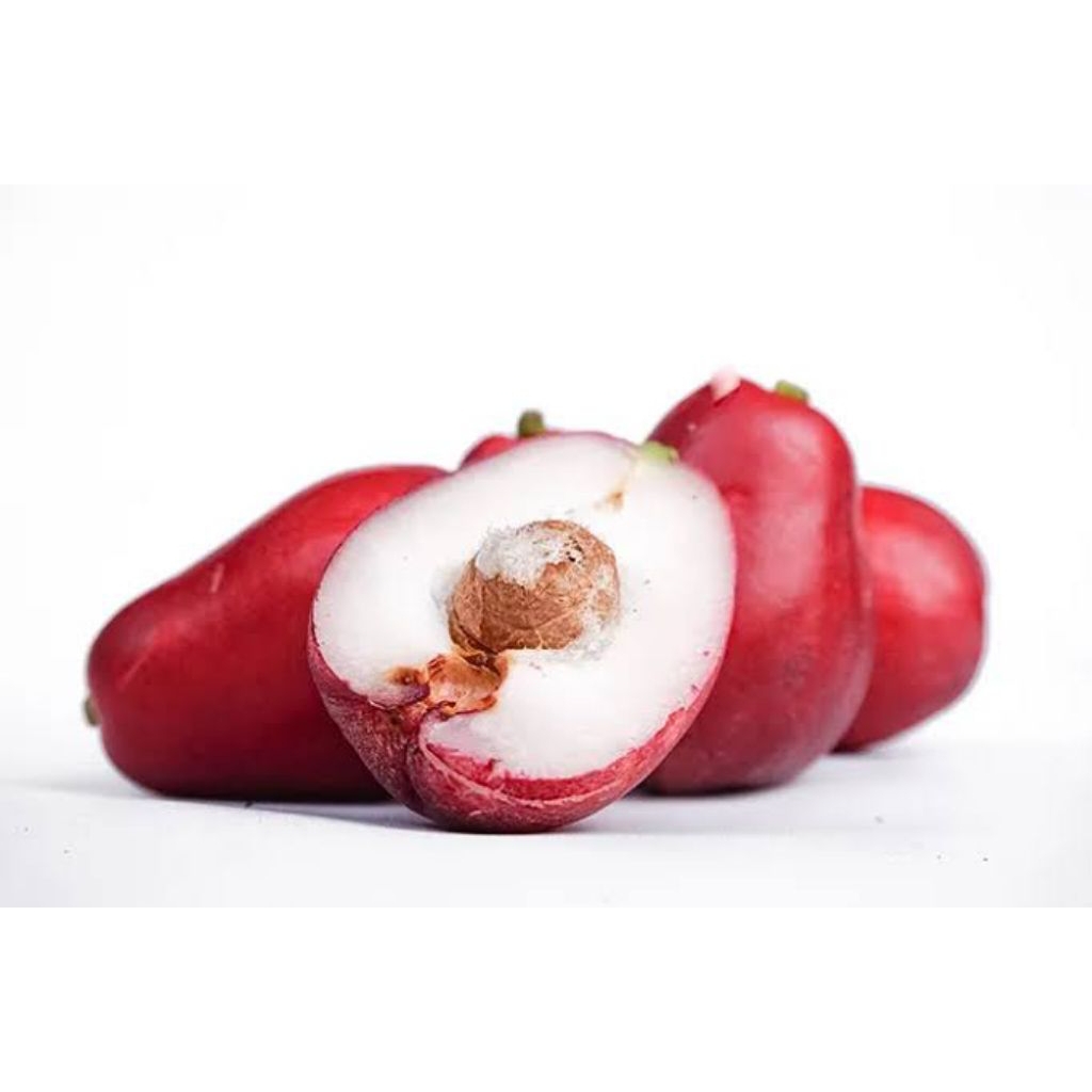 Jambu Jamaika kemasan 1kg dijamin manis dan segar