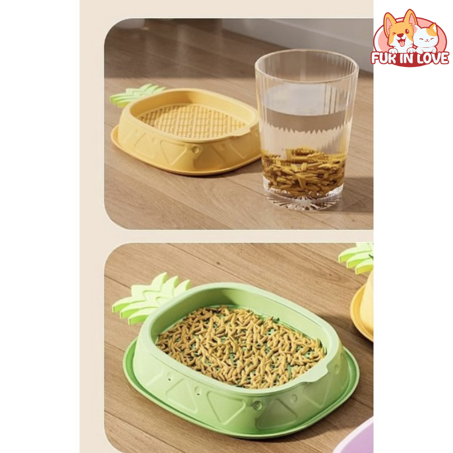 Rumput kucing Kit Penanaman Benih Rumput Kucing Rumput Gandum Kualitas Tinggi Rumput Kucing Dilengka