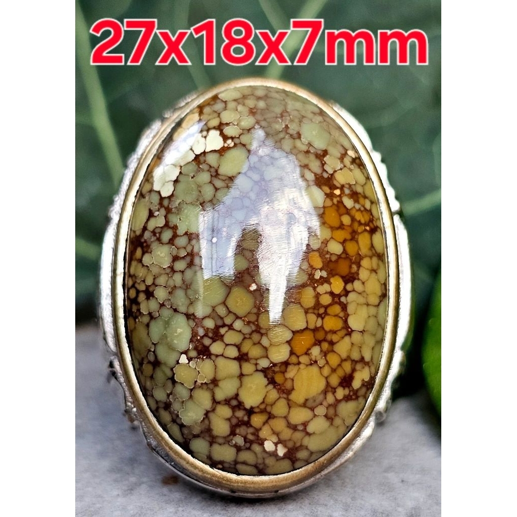 Natural Pirus Hubei Coklat Menyala