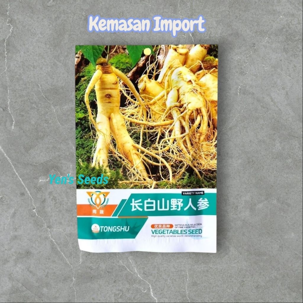 Kemasan Import/Benih Ginseng Korea ( 50 Butir )