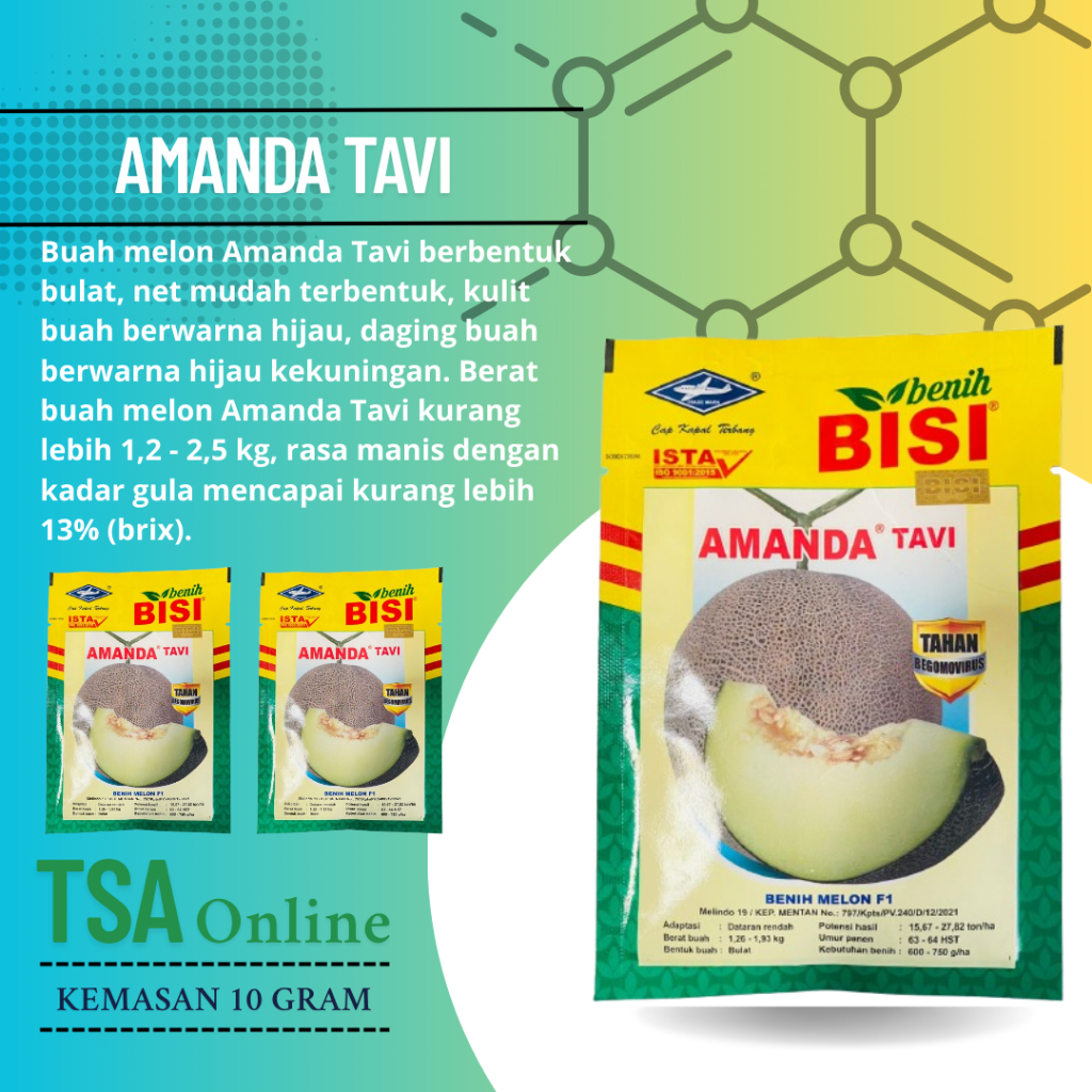 AMANDA TAVI F1 - Benih bibit biji buah melon hibrida manis besar CAP KAPAL TERBANG