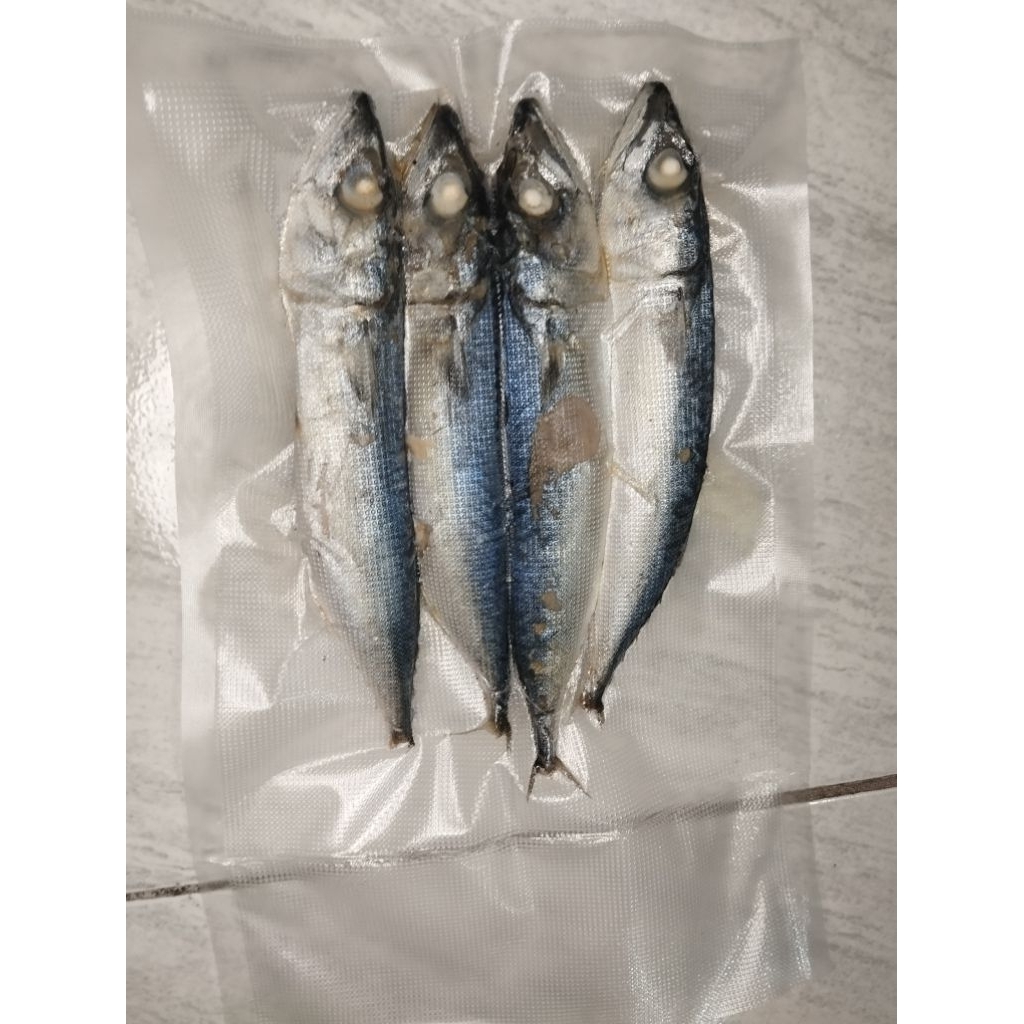 PINDANG SALEM / IKAN CUE / TUNA SALEM / GEREH SALEM / ISI 4