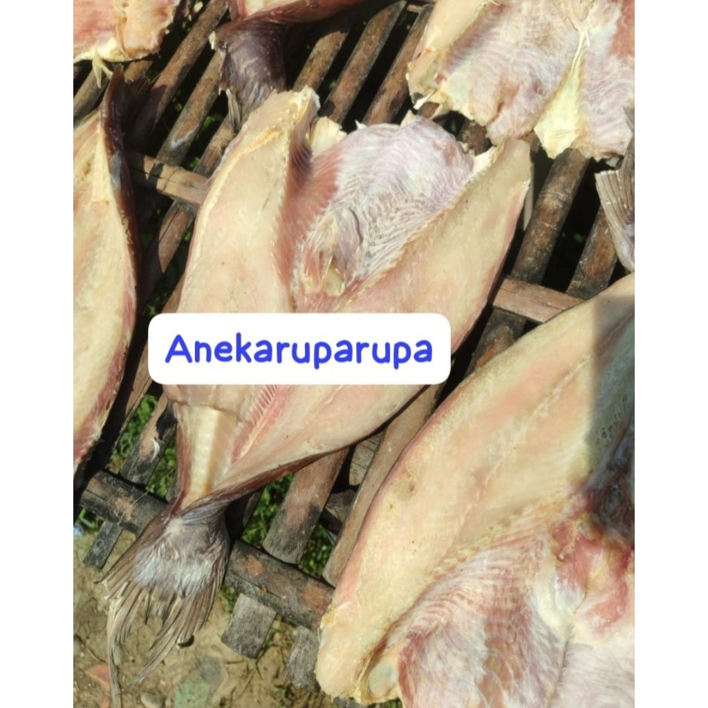 IKAN ASIN JAMBAL ROTI UTUH PREMIUM BERAT 1KG