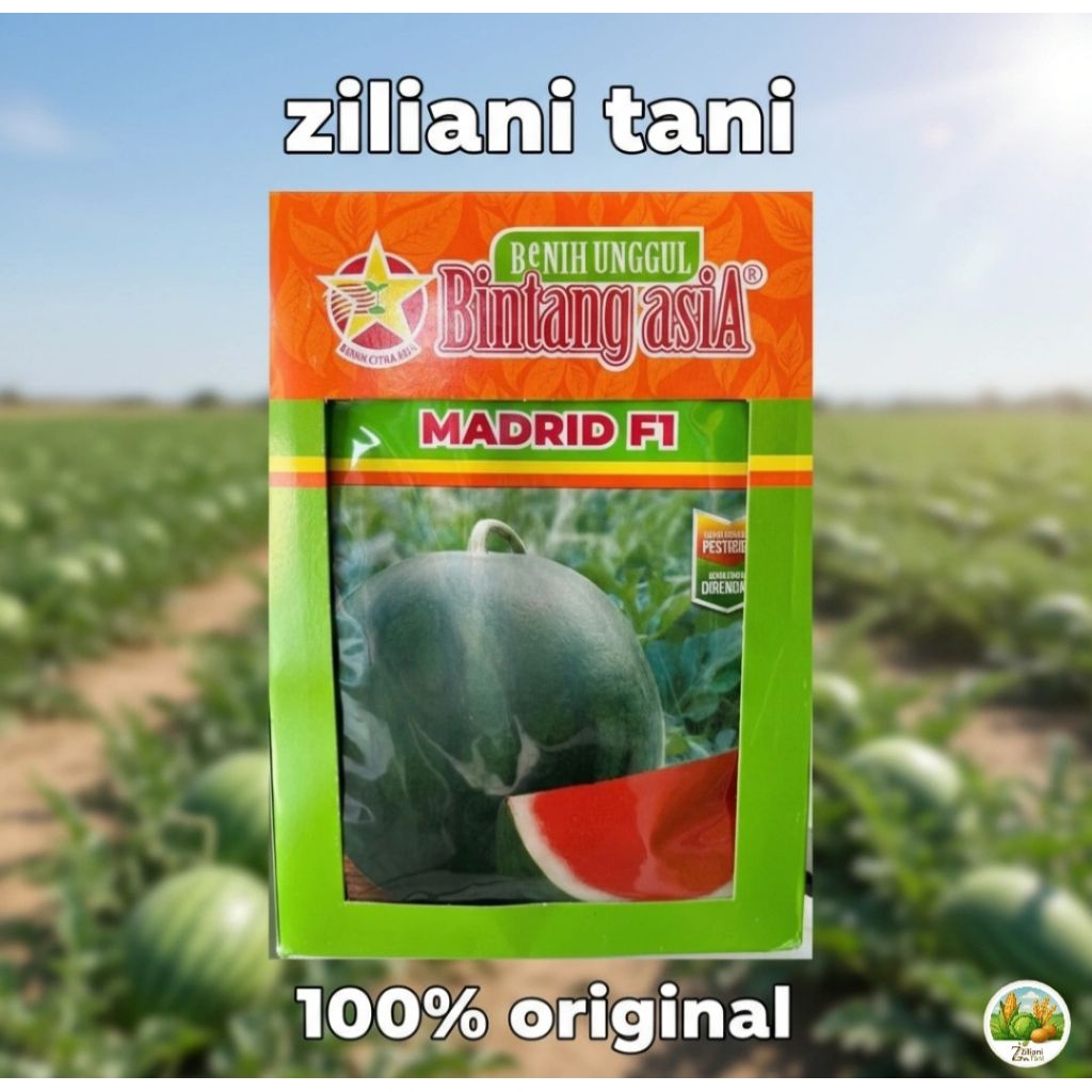 Semangka Bulat Madrid F1 20gr | Bintang Asia