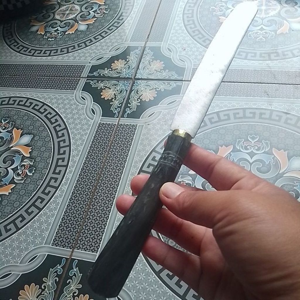 Pisau dapur gagang tanduk