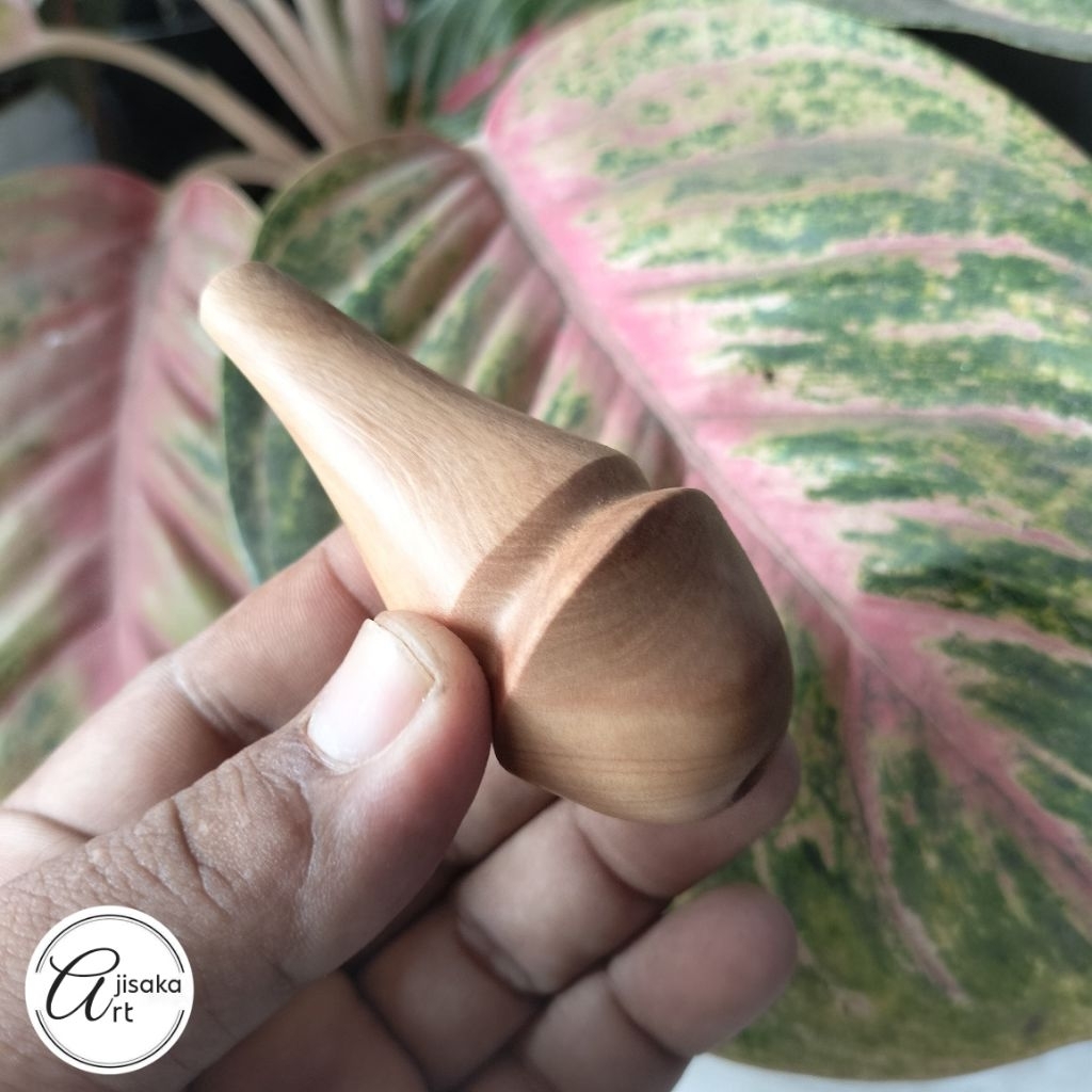 AJISAKA_ART | pipa once / once cangklong unik dan antik kayu Cendana wangi