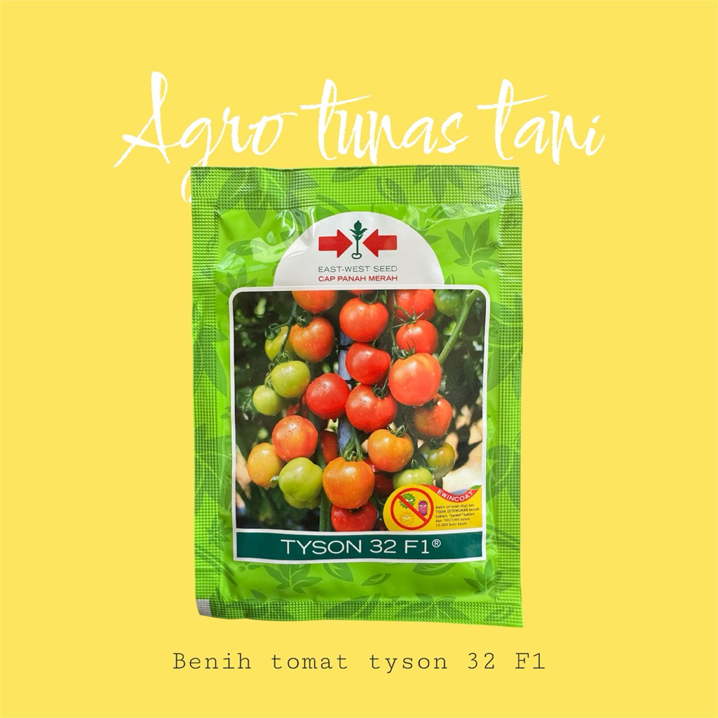 Benih Tomat Hibrida Tyson 32 F1 Cap panah merah 1750 Butir