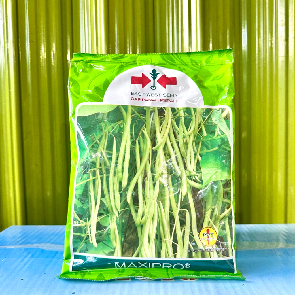 Benih Buncis MAXIPRO 500 gram  Cap Panah Merah - Bibit Buncis Maxipro