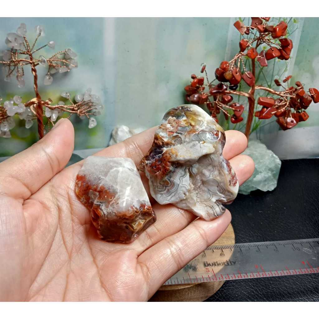 Batu Natural Mexico Agate pattern polished rough (2)