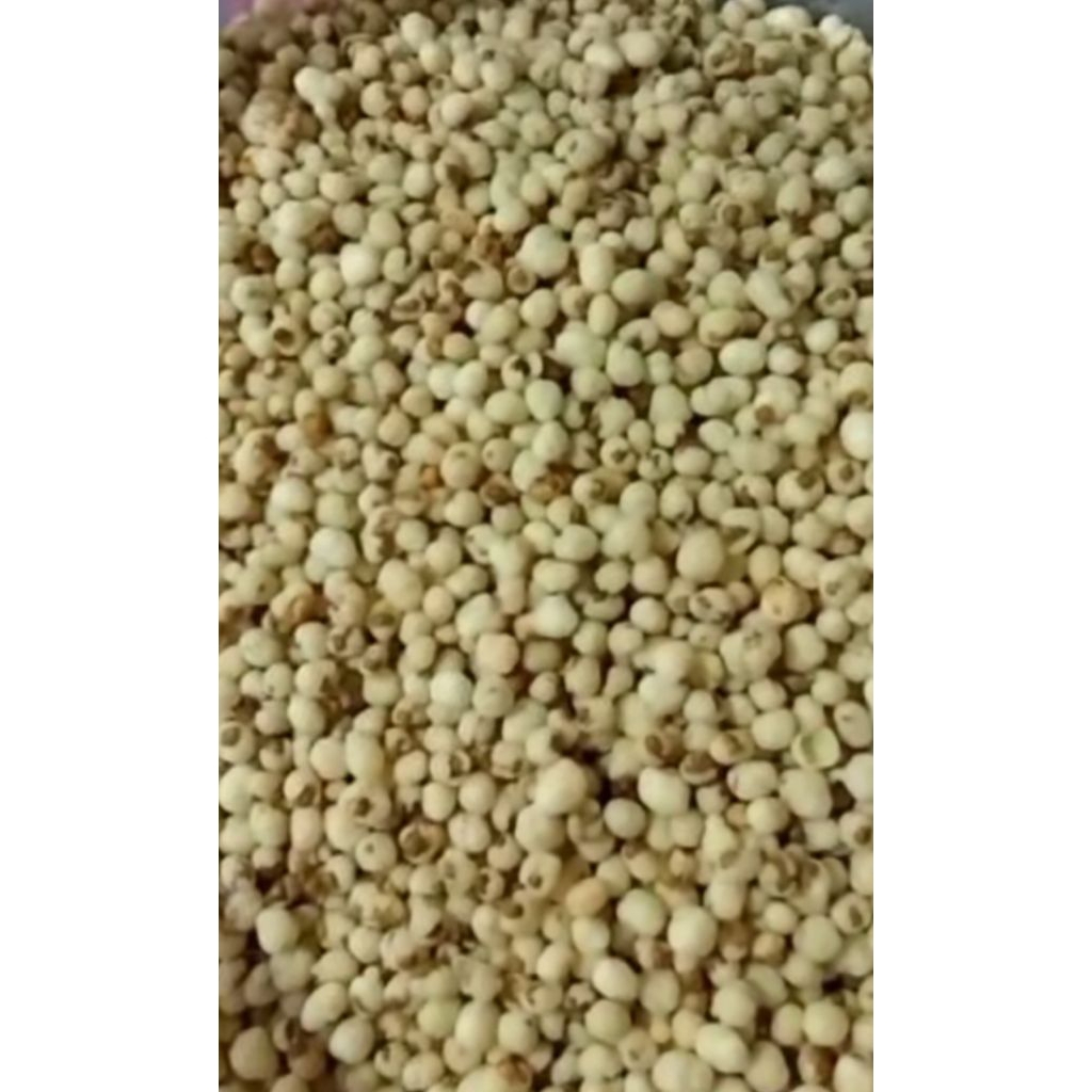 kacang hijau goreng crispy