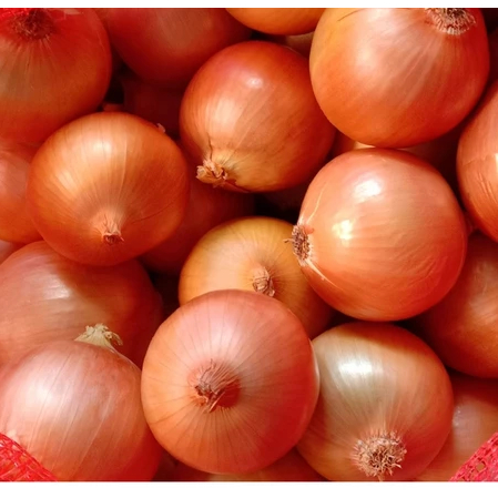 BOMBAY 1 KG - BAWANG BOMBAY SUPER 1 KG BAWANG BOMBAY 1KG/BAWANG BOMBAI SUPER/BAWANG BOMBAY MURAH