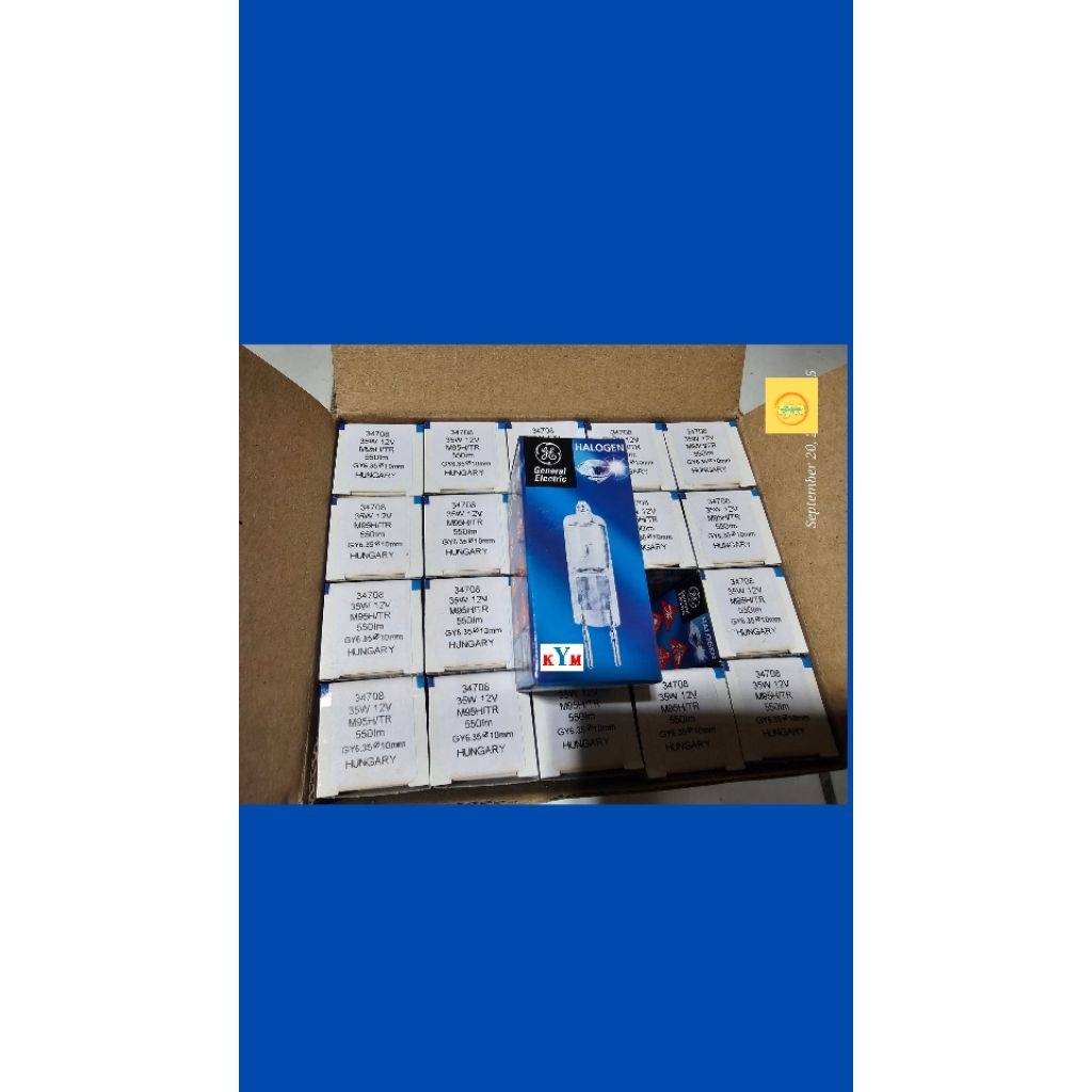 lampu halogen kacang 12V 35W