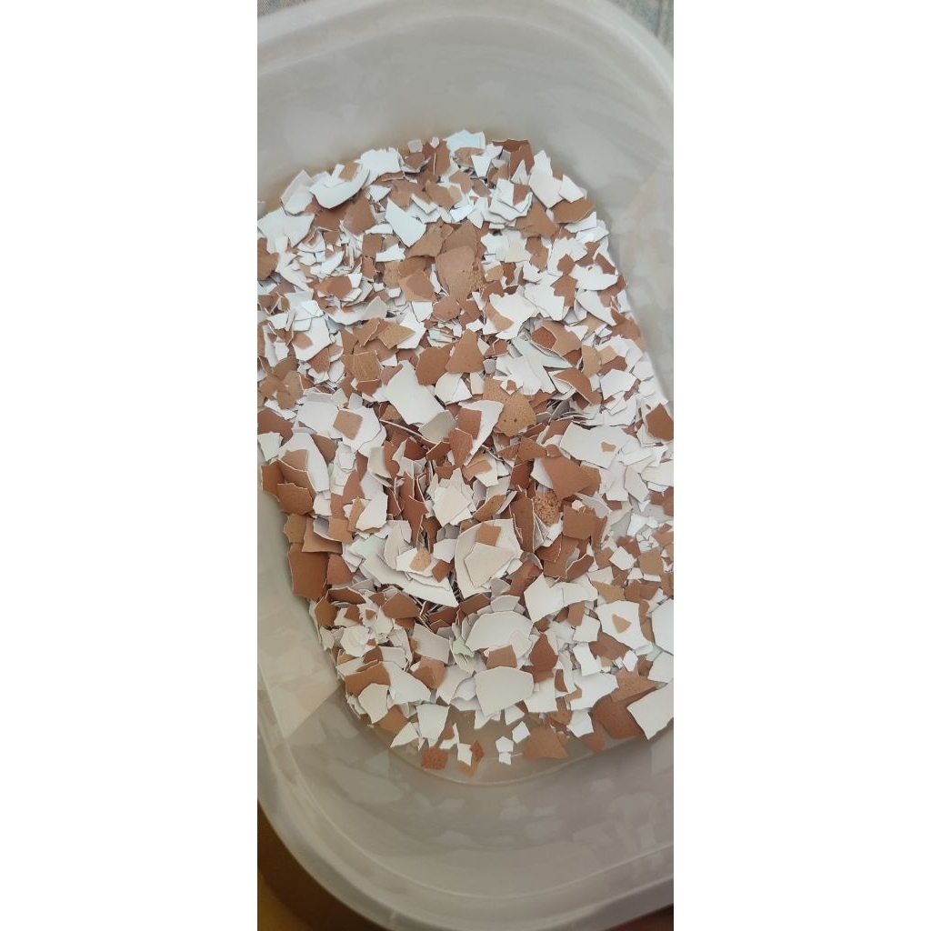 kulit telur cangkang telur gragal 1kg