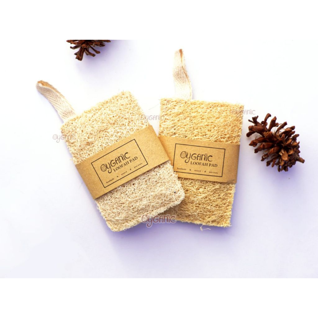 Loofah Pad / Natural Sponge mandi dan cuci piring 100% Alami / Spons Gambas Natural Alami / Oyong Ke
