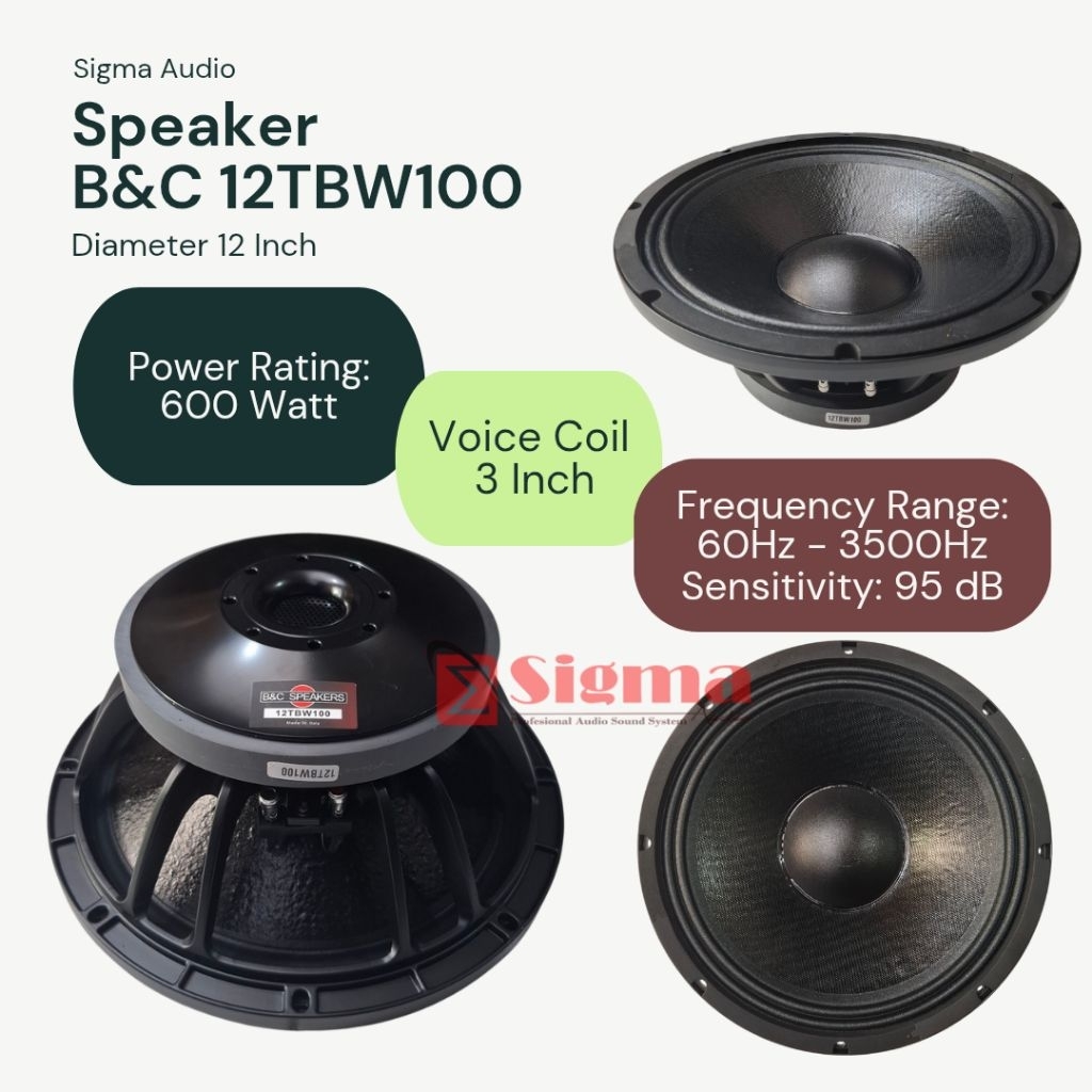 B&C 12TBW100 Speaker 12 Inch BNC 600 Watt