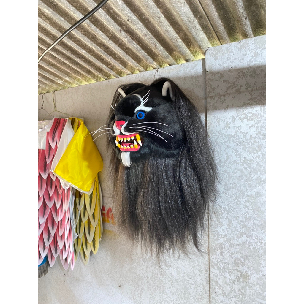 kucingan banyuwangi/kucingan jaranan banyuwangi