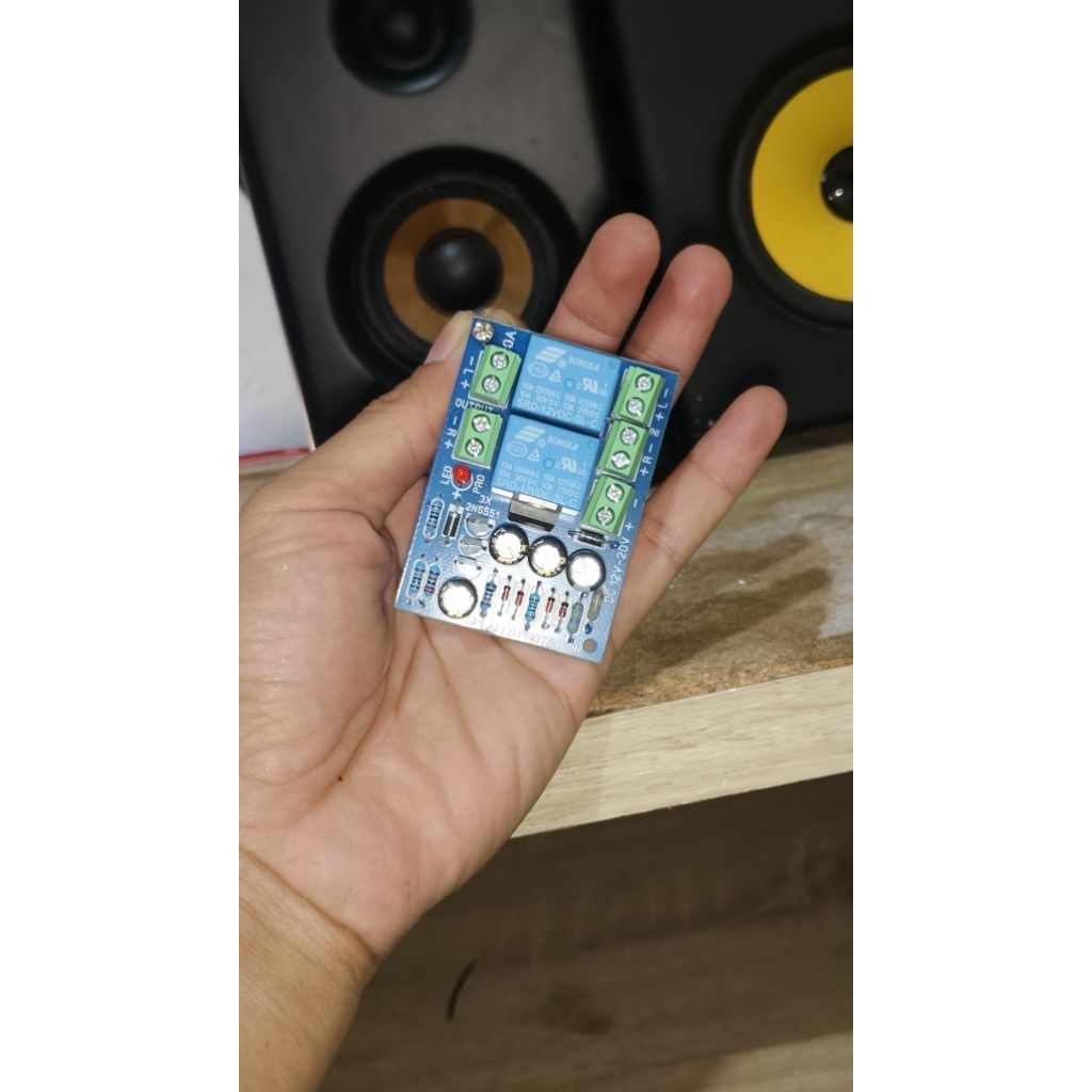 SPEAKER PROTECTOR CLASS D 12-20v