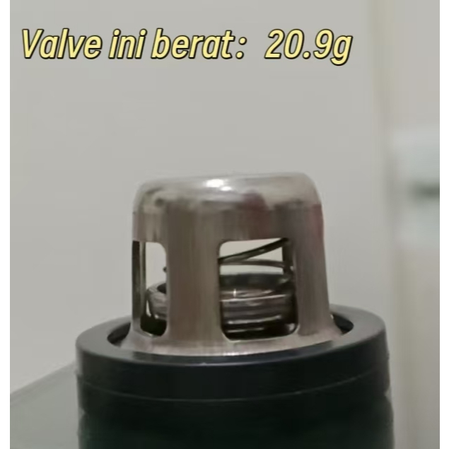 Valve assy sanchin SC/SCN 30 klep sanchin