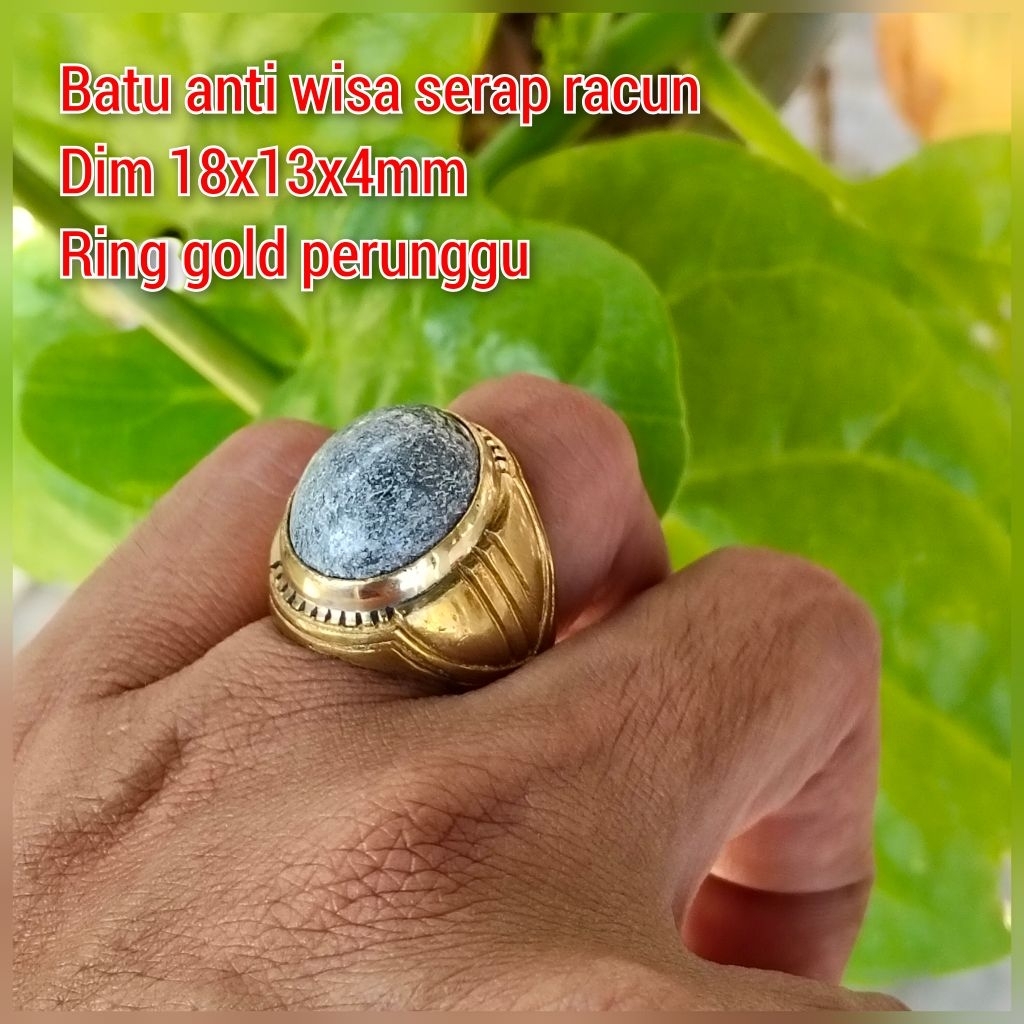 CINCIN PRIA BATU ANTI WISA SERAP RACUN RING PERUNGGU