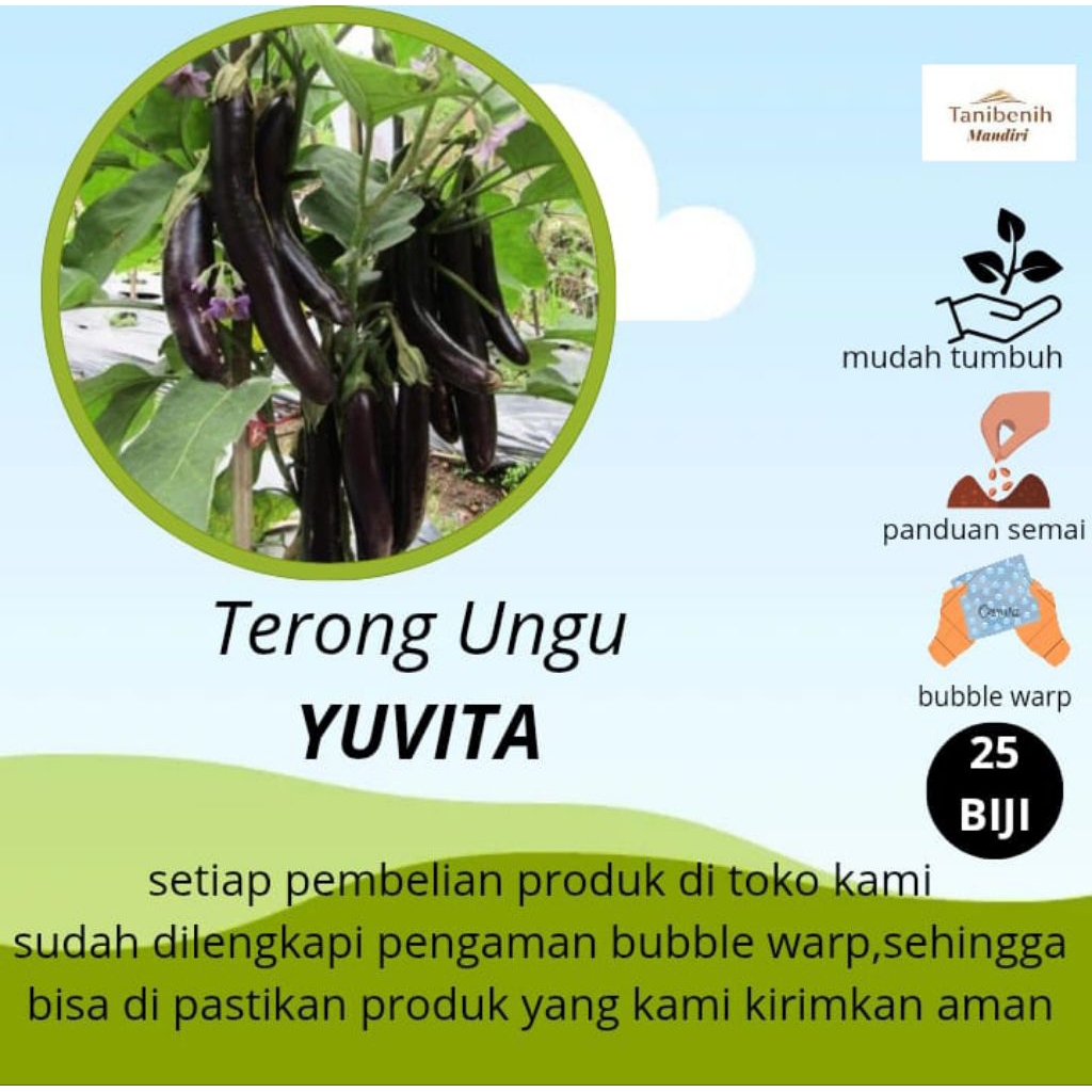 25 Biji benih Terong ungu YUVITA F1