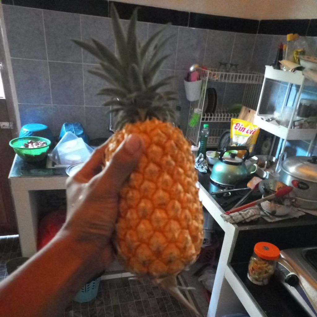 Nanas Madu Super Jumbo