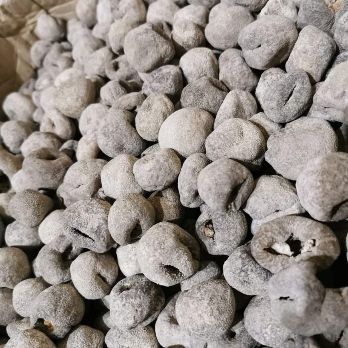 PER 1KG Tripang  bola haisen hisom teripang tripang sea cucumber bola super