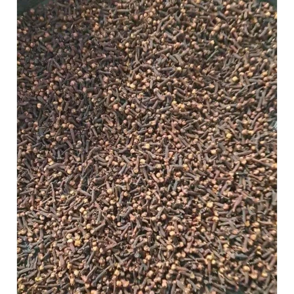 cengkeh wangi gunung sumbing