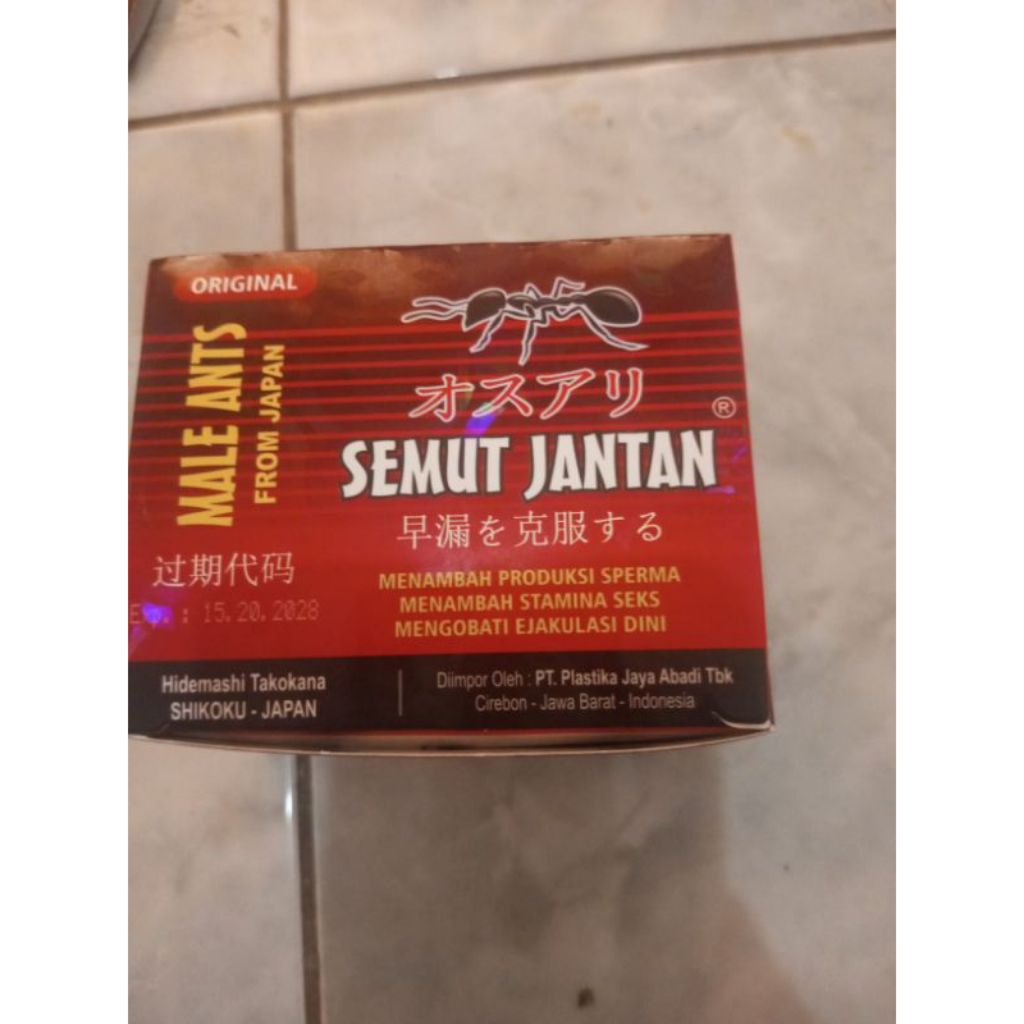 Semut Jantan Asli