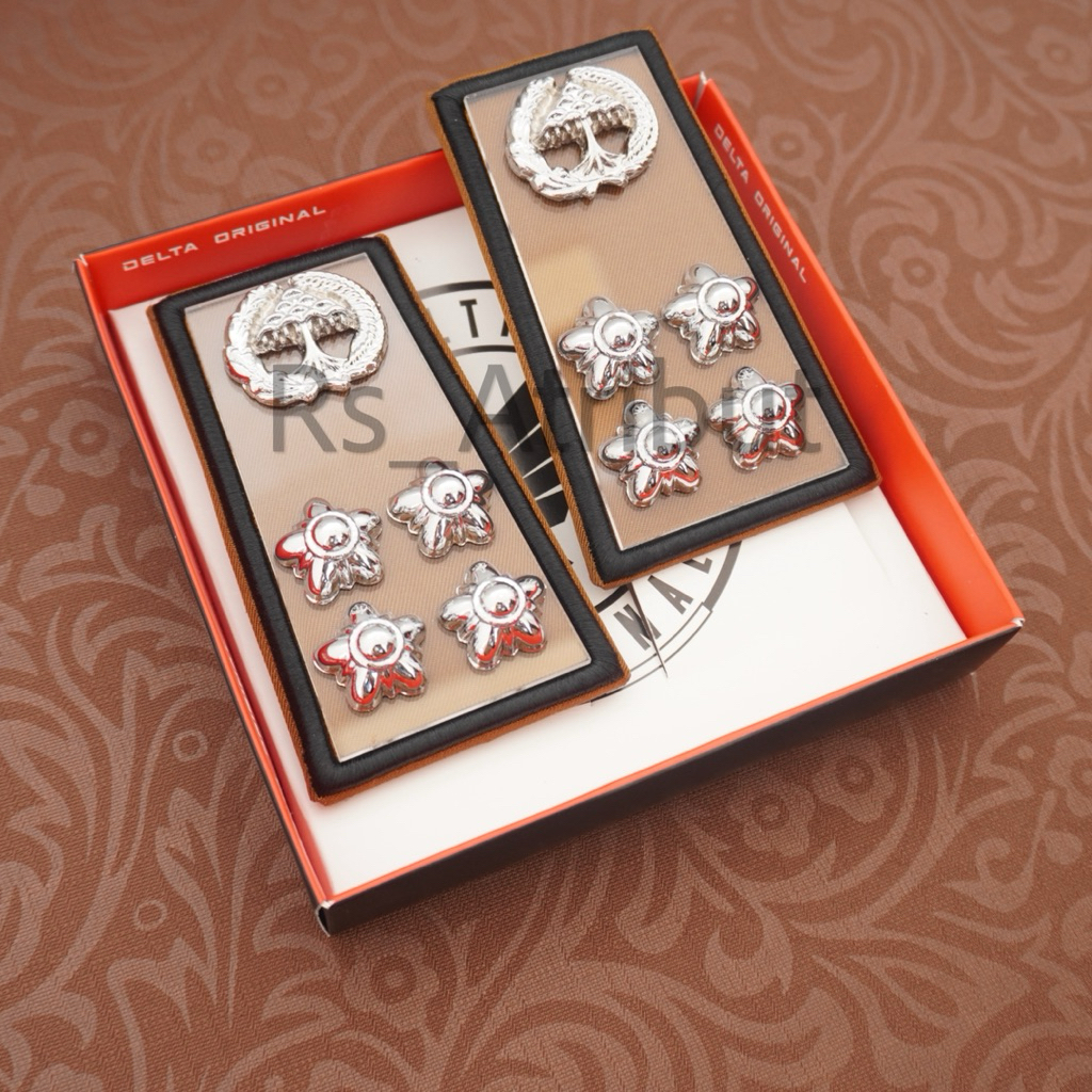 Pangkat Pns Lampung 3D Mika Akrilik / Pangkat Asn Lampung Premium