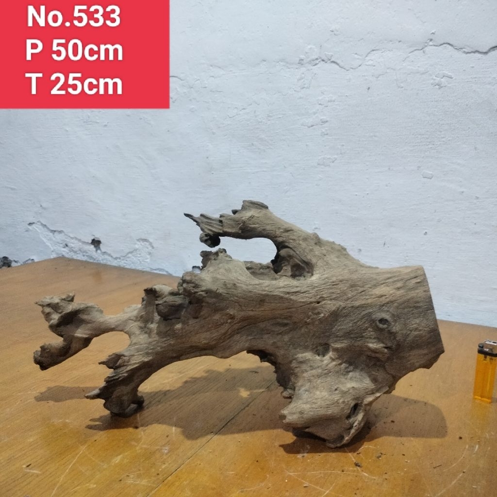 bonggolan akar santigi laut akar detailing aquascape aquarium 533