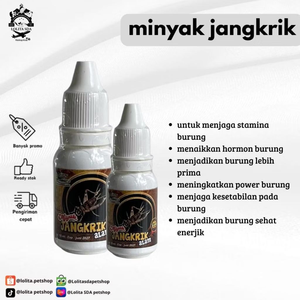 MINYAK JANGKRIK ALAM vitamin herbal