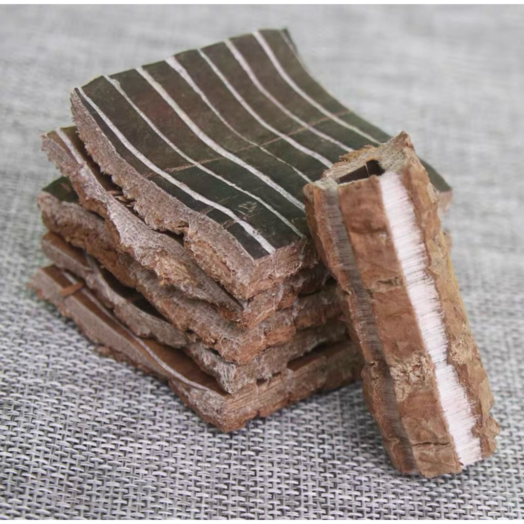 600 Gram Du zhong premium / eucommia bark / to tiong duzhong totiong