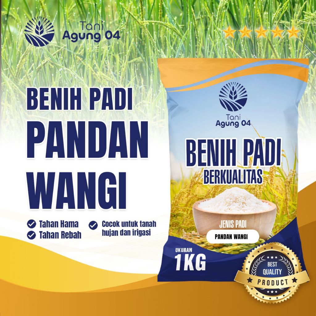 Bibit Padi benih padi unggul Pandan wangi kemasan 1 kg kualitas super premium