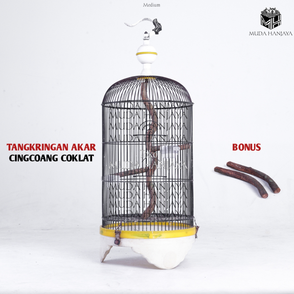 Tenggeran Tangkringan Akar Burung Cingcoang Coklat Meliuk Bagus | Muda Hanjaya