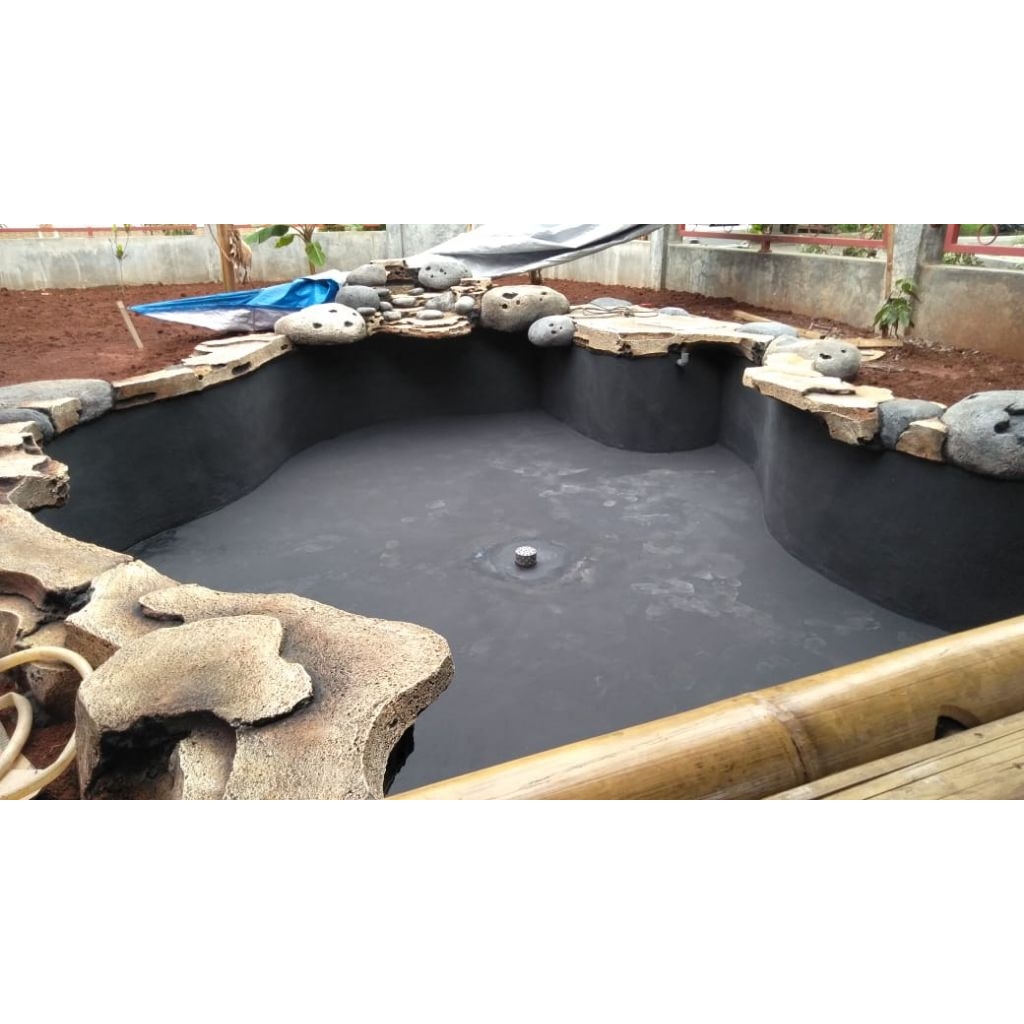 kolam natural khusus koi