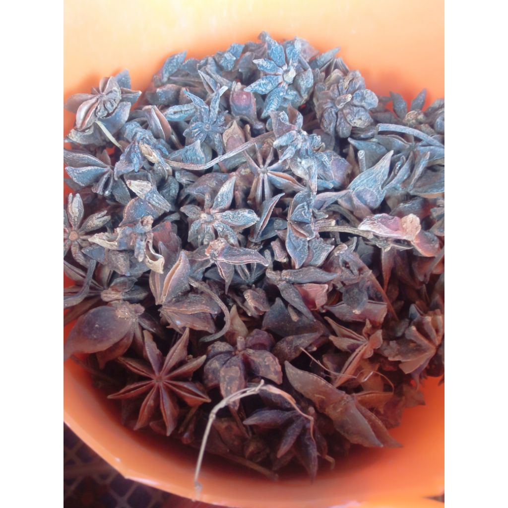 bunga lawang/bumbu kering bunga lawang