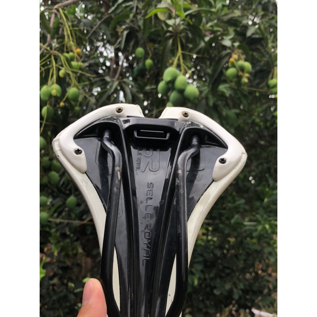 saddle selle royal seta putih