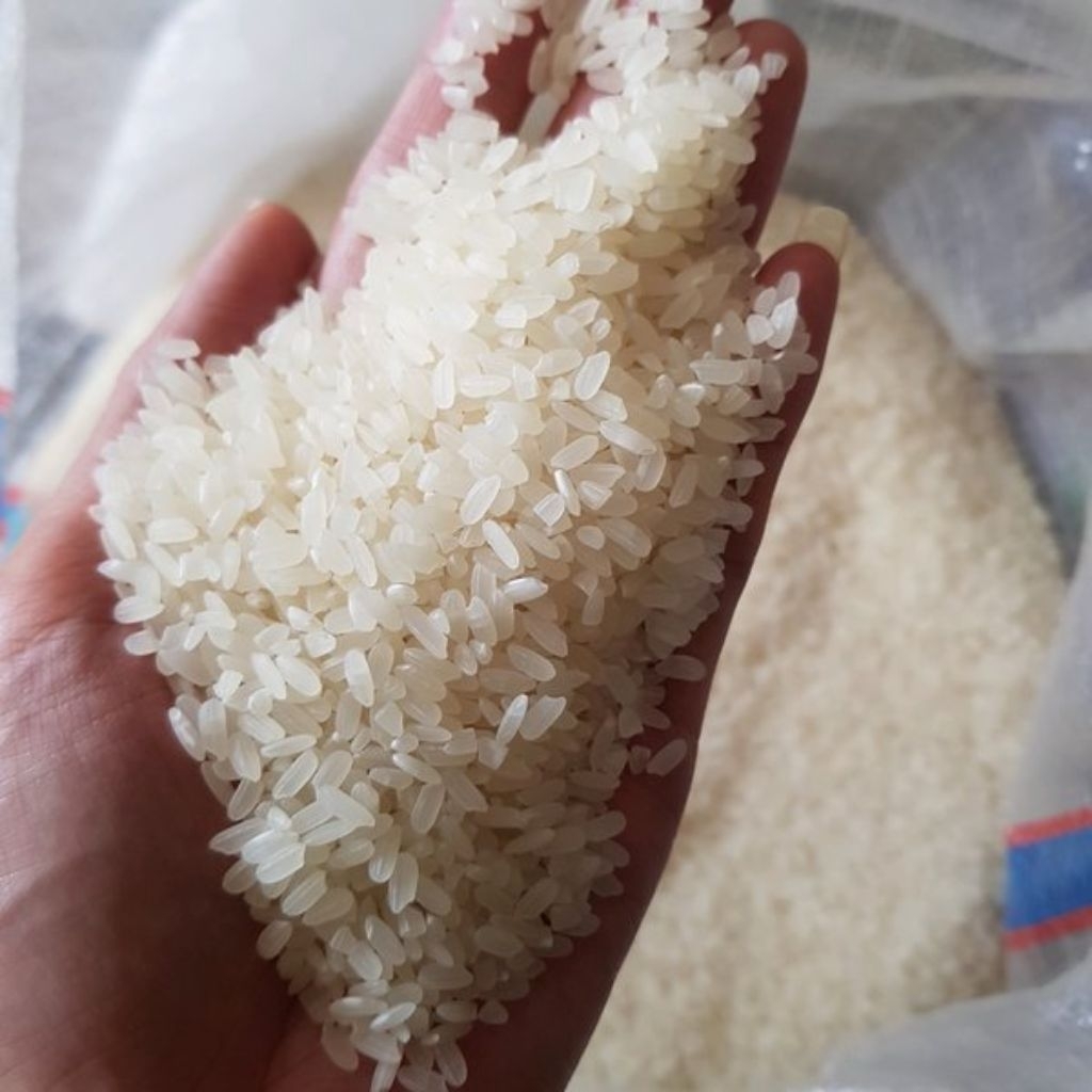 Beras Pandan Wangi 10 Kg